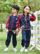 N20481幼兒園春秋園服2021-2022春秋季新款園服|校(xiào)服定制(zhì)源頭廠家(jiā)